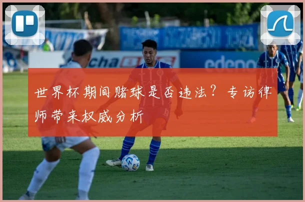 世界杯期间赌球是否违法？专访律师带来权威分析