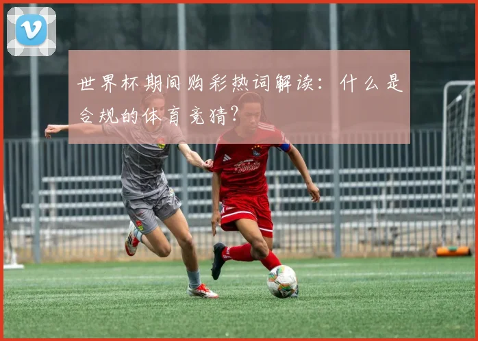 世界杯期间购彩热词解读：什么是合规的体育竞猜？