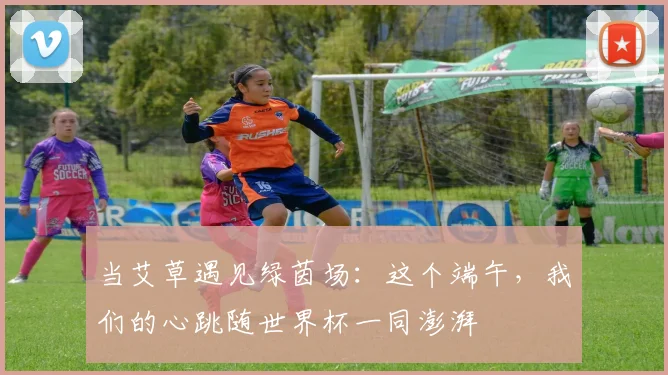 当艾草遇见绿茵场：这个端午，我们的心跳随世界杯一同澎湃